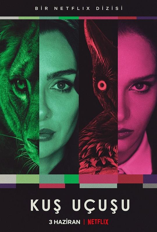 直线篡位(全集)