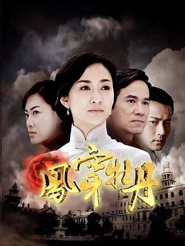 凤穿牡丹 第28集