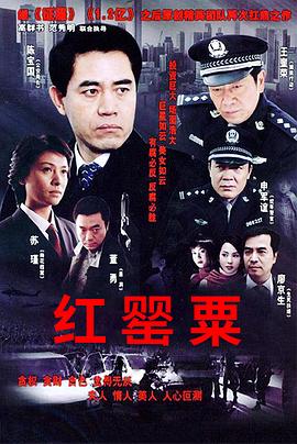 红罂粟 第12集
