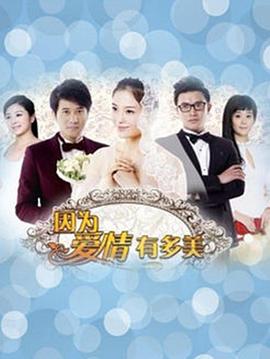 因为爱情有多美DVD版 第54集