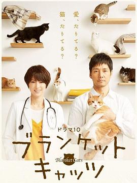 毛毯猫 第04集