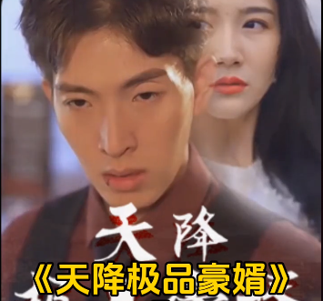 天降极品豪婿 第48集