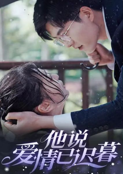 他说爱情已迟暮 第24集