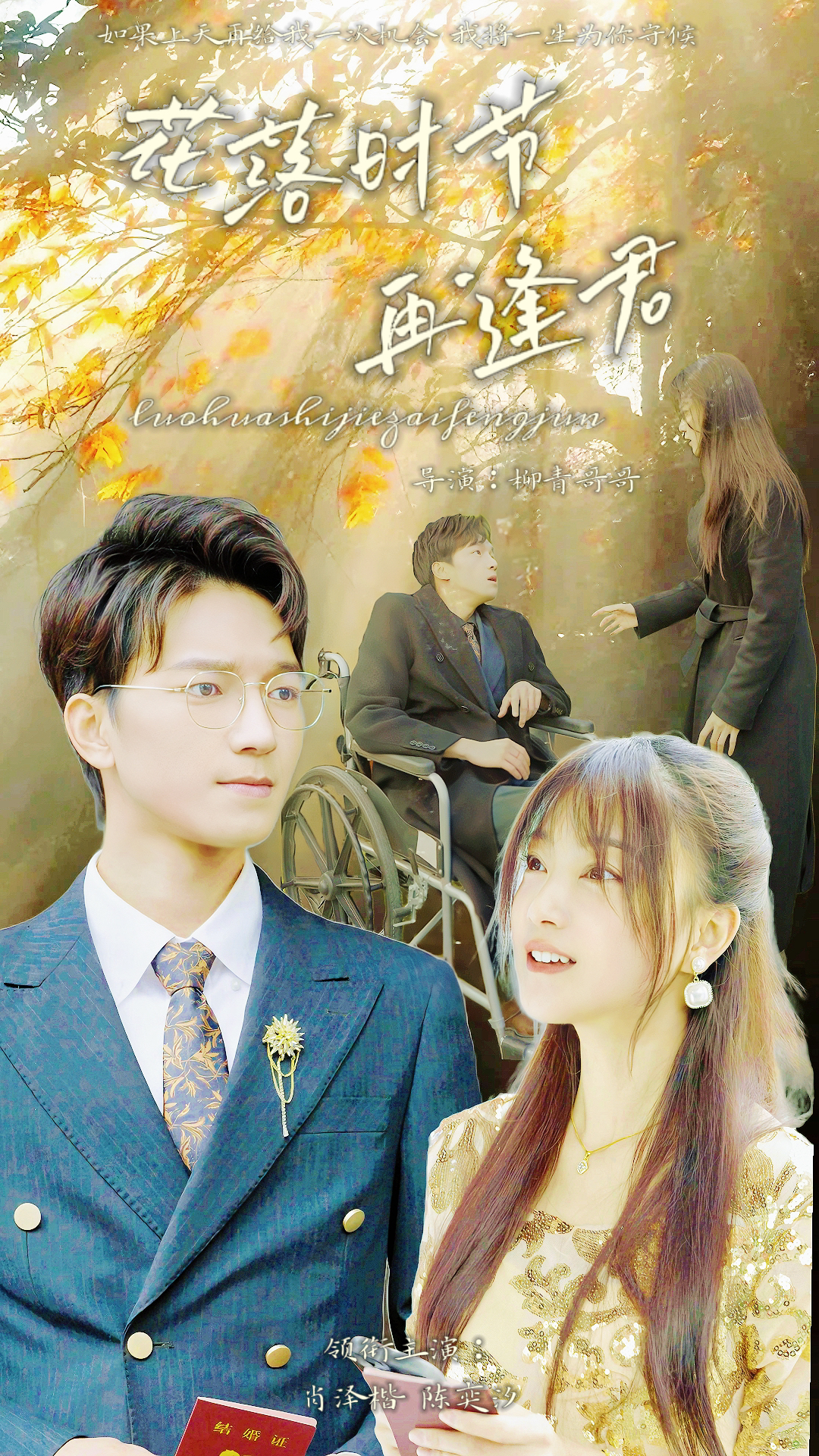 落花时节再逢君 第81集