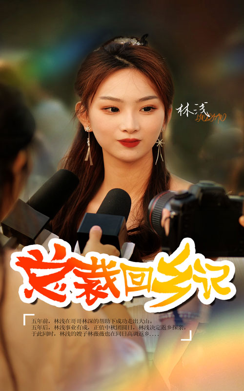 总裁回乡记 第47集