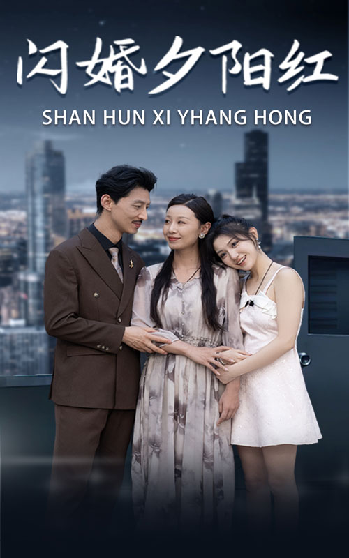 闪婚夕阳红 第47集