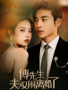 傅先生夫人又闹离婚了 第42集