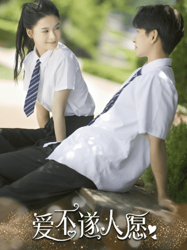 爱不遂人愿 第27集