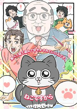 转生成猫的大叔 第31集
