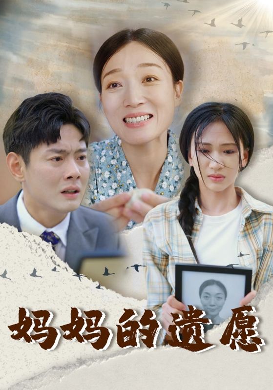 妈妈的遗愿 第28集