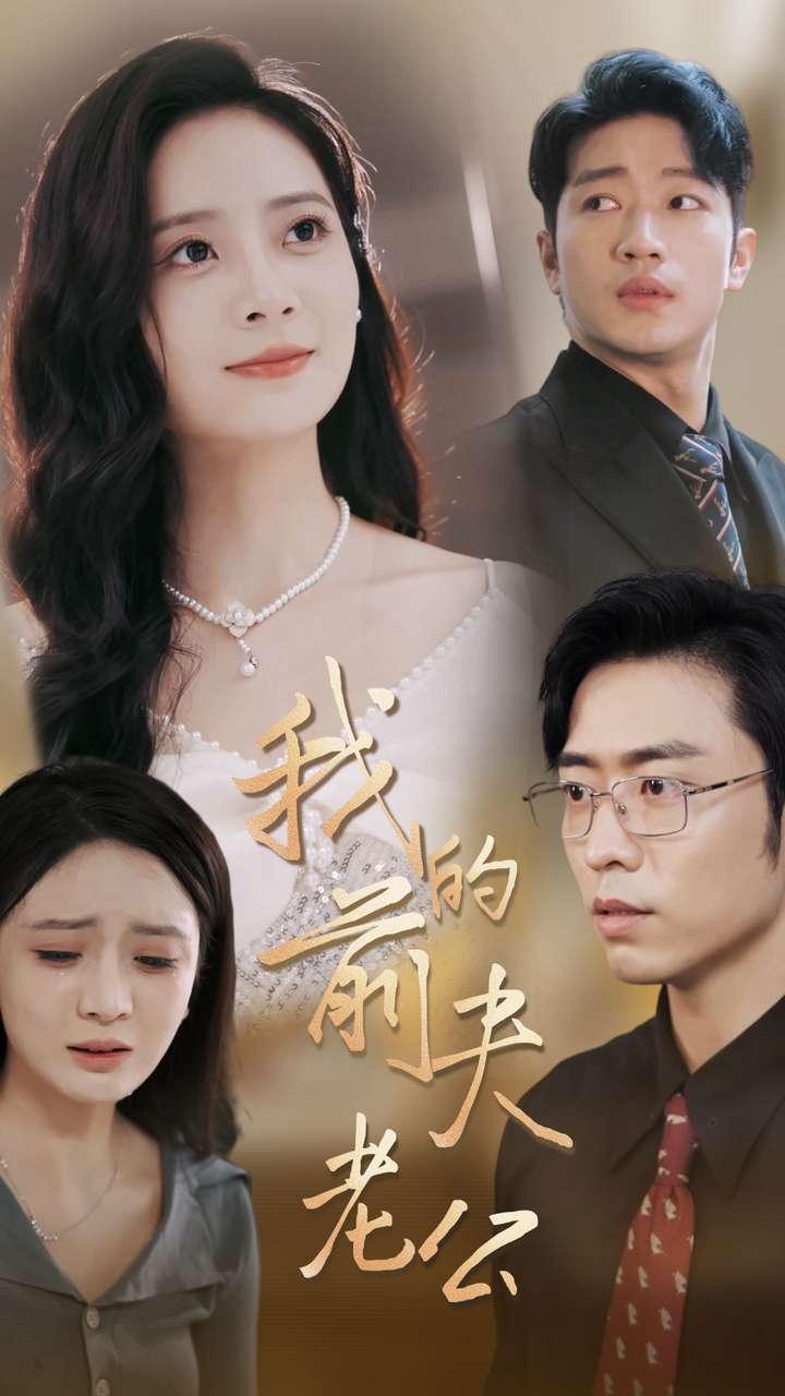 我的前夫老公 第25集