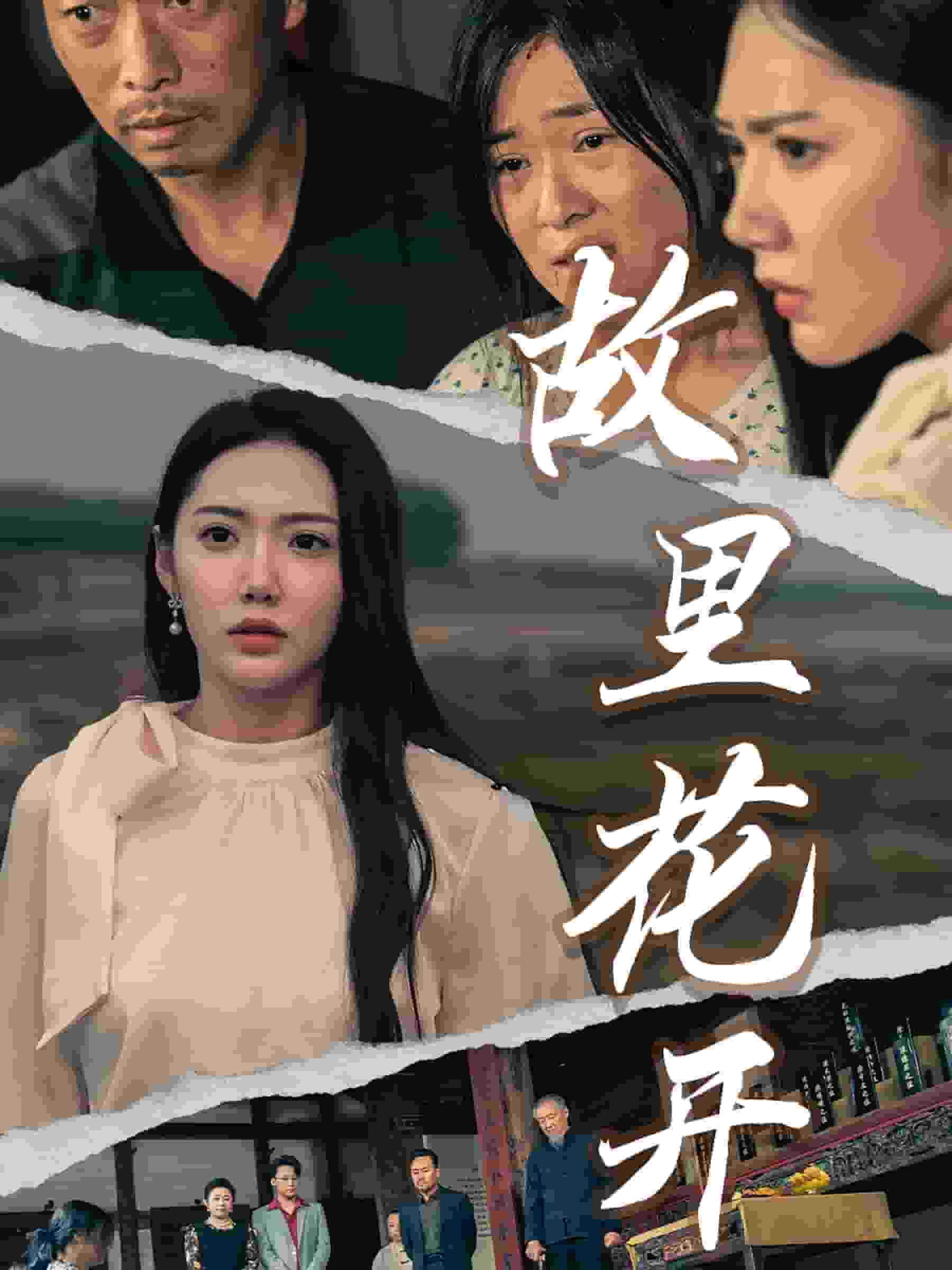 故里花开 第01集
