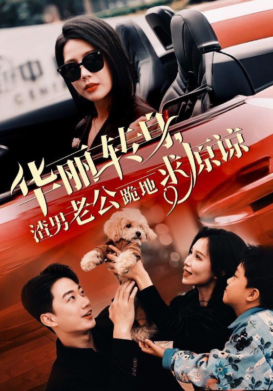 华丽转身渣男老公跪地求原谅 第12集