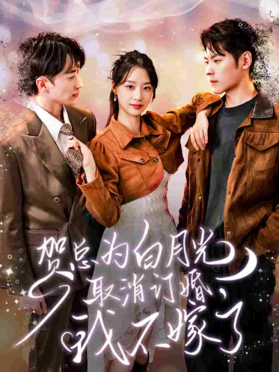 贺总为白月光取消订婚，我不嫁了 第96集