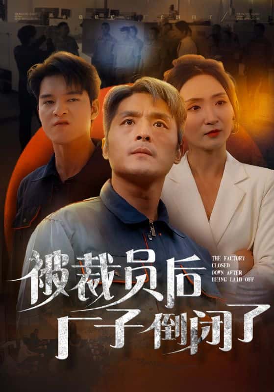 被裁员后厂子倒闭了 第12集