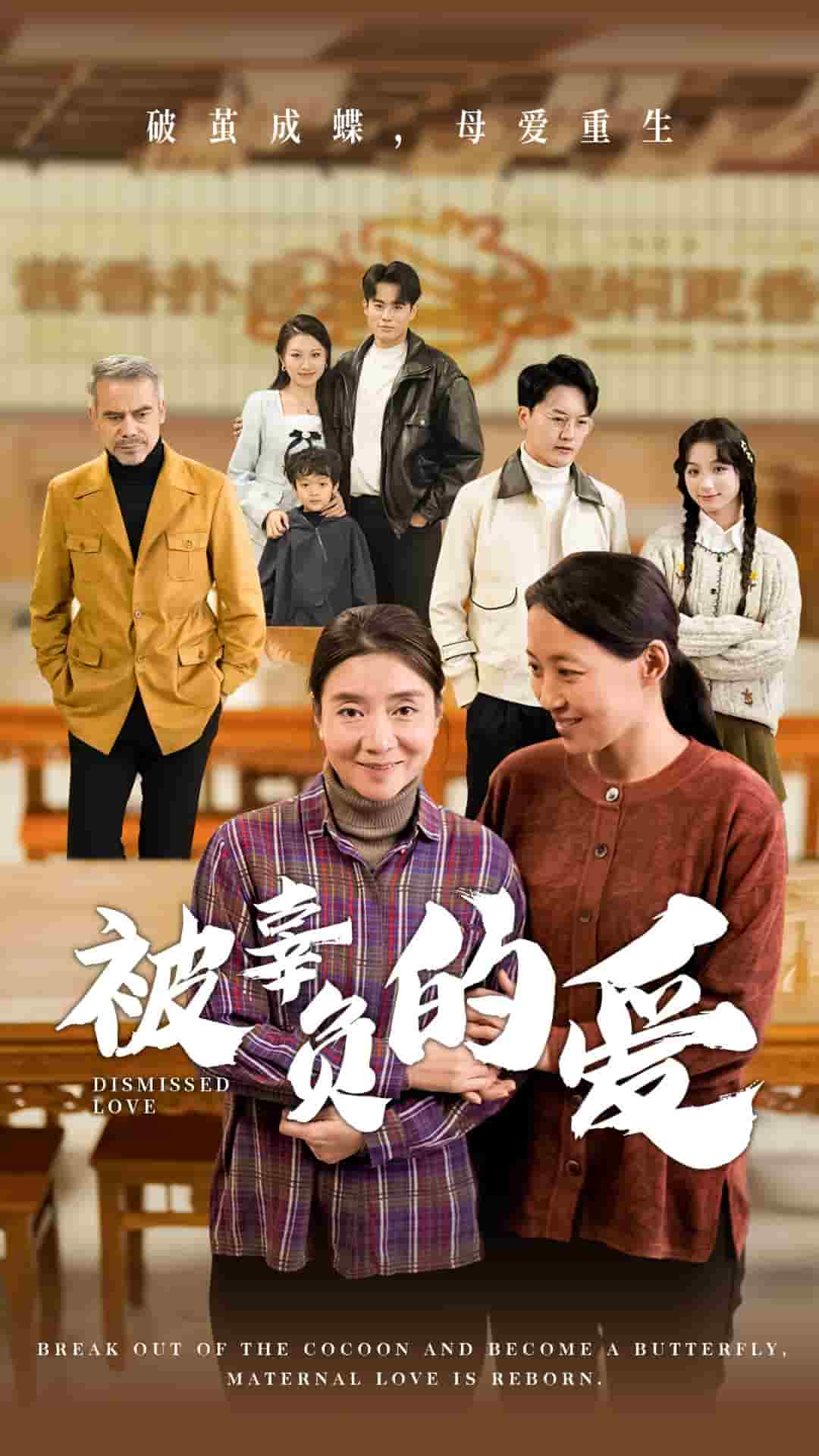 被辜负的爱 第47集