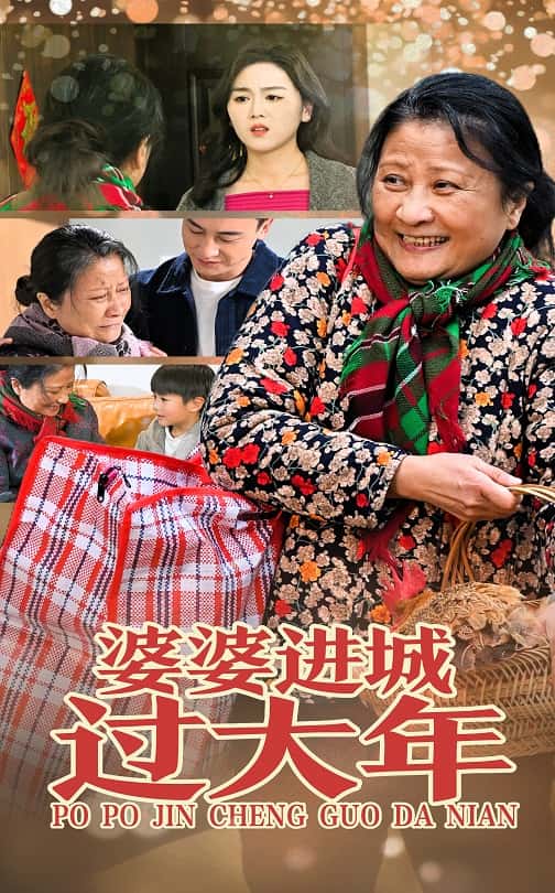 婆婆进城过大年 第28集