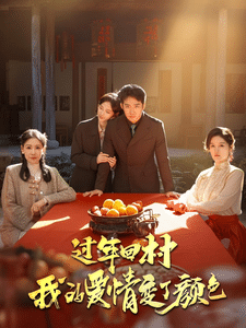 过年回村我的爱情变了颜色 第25集