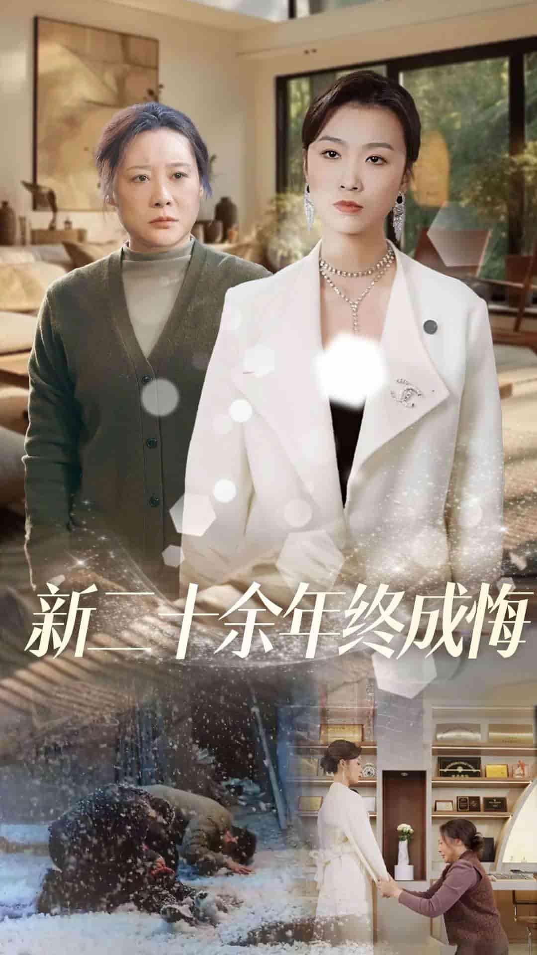 新二十余年终成悔 第6集