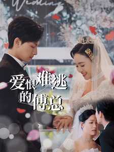爱恨难逃的傅总 第19集
