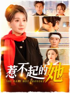 惹不起的她 第41集