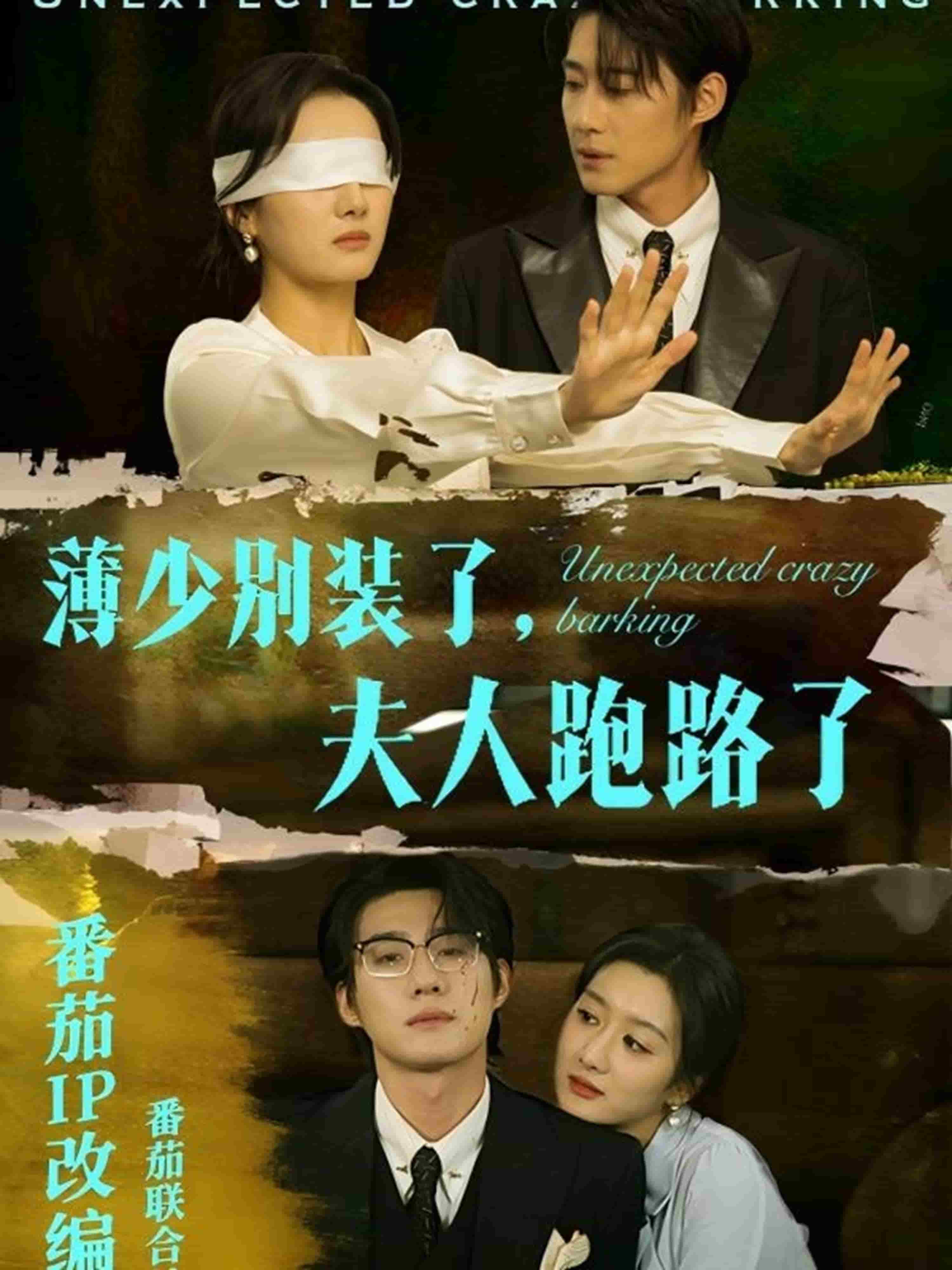 薄少别装了夫人跑路了 第1集
