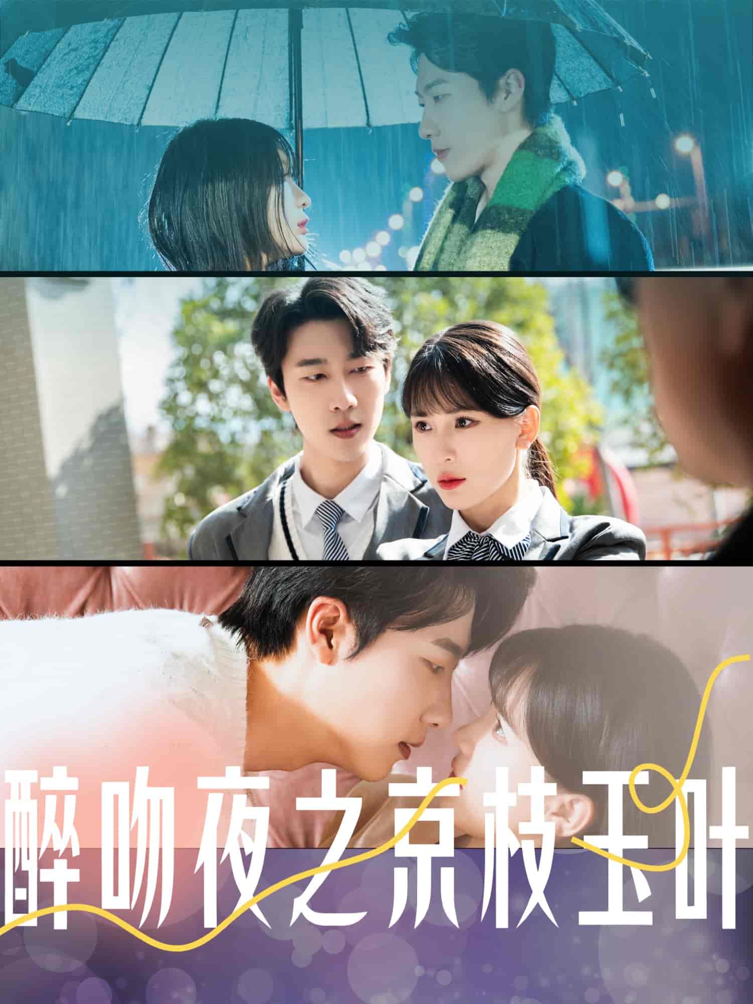 醉吻夜之京枝玉叶 第14集