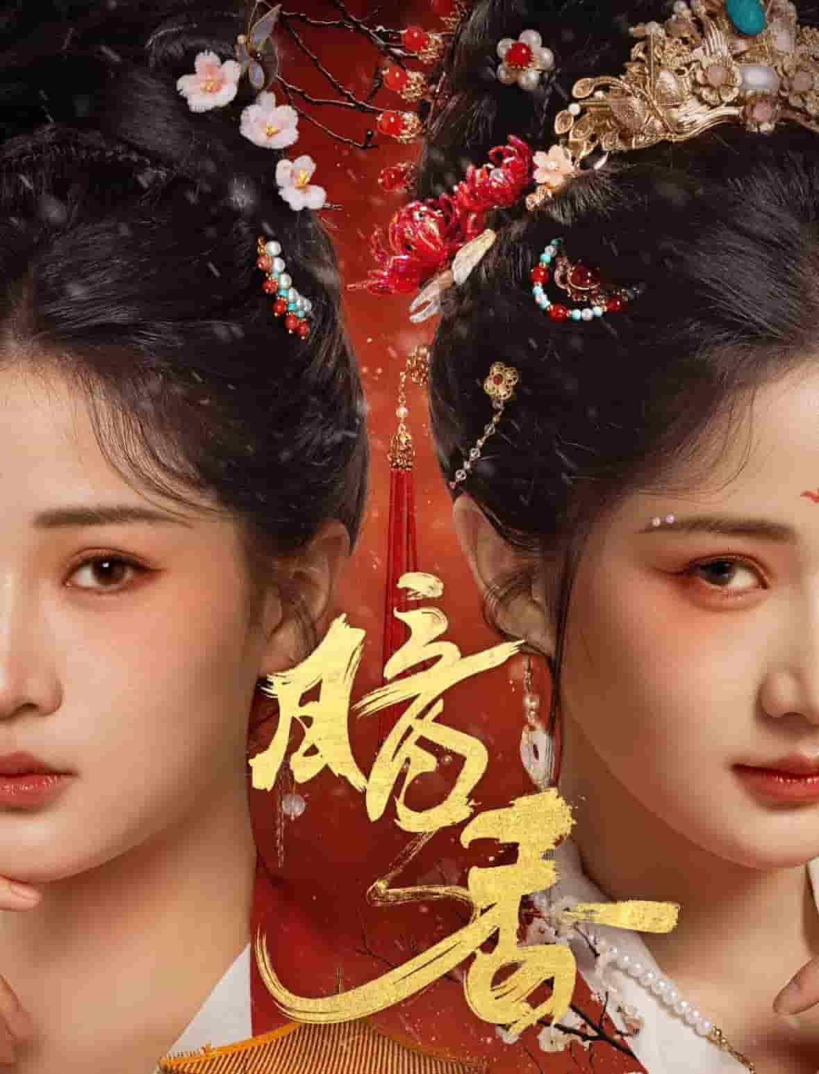暗香（短剧版） 第52集