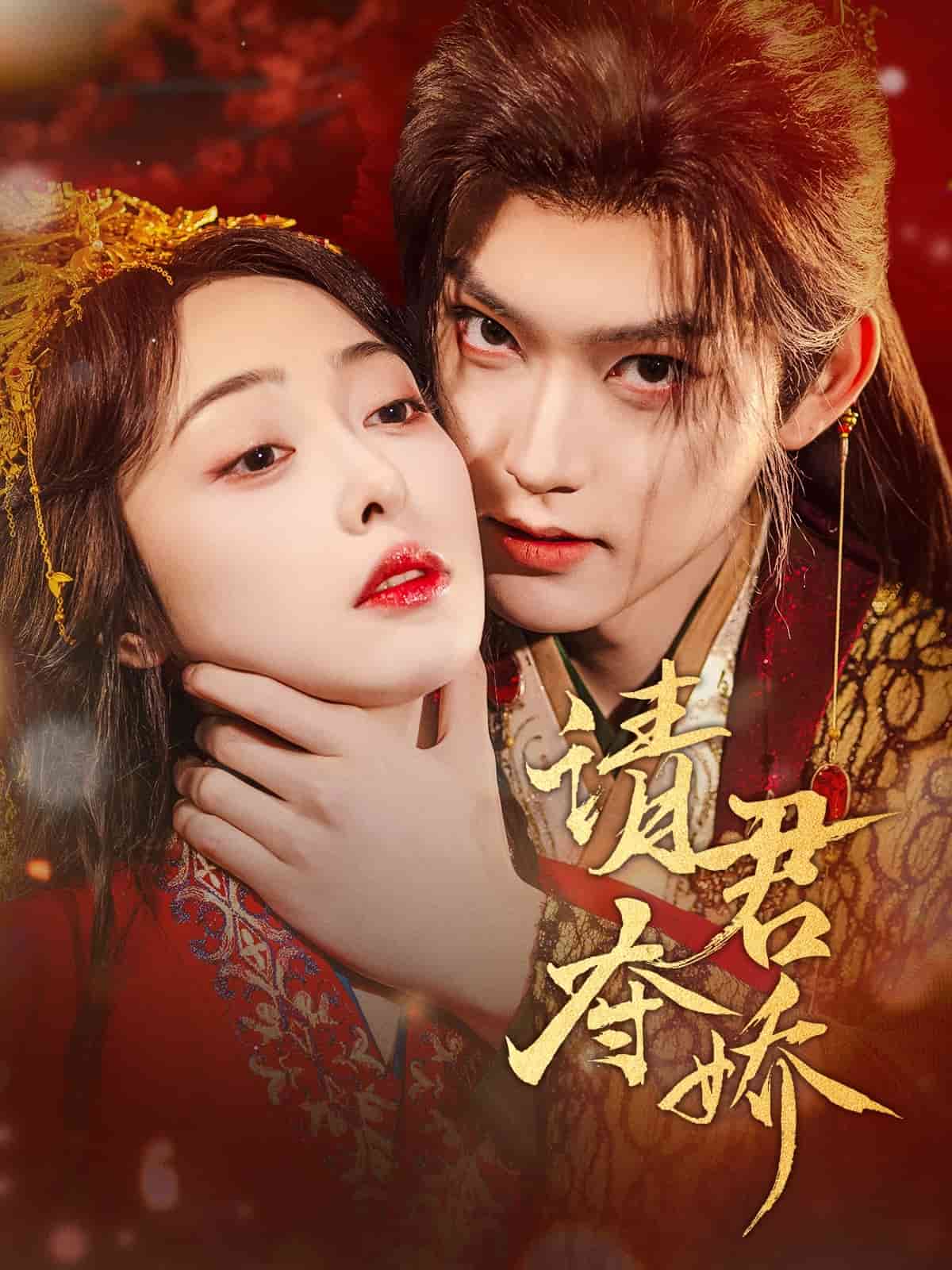 请君夺娇 第51集