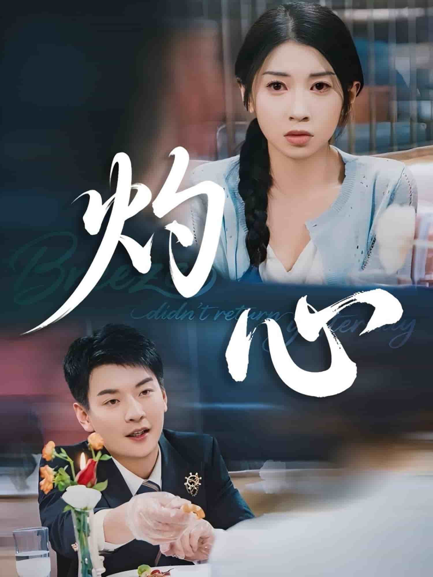 灼心（短剧版） 第40集