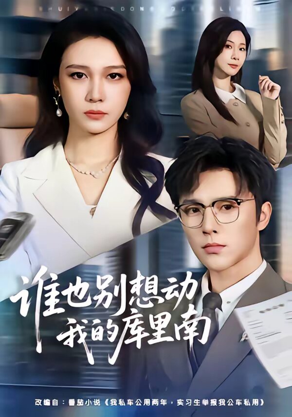 谁也别想动我的库里南 第28集